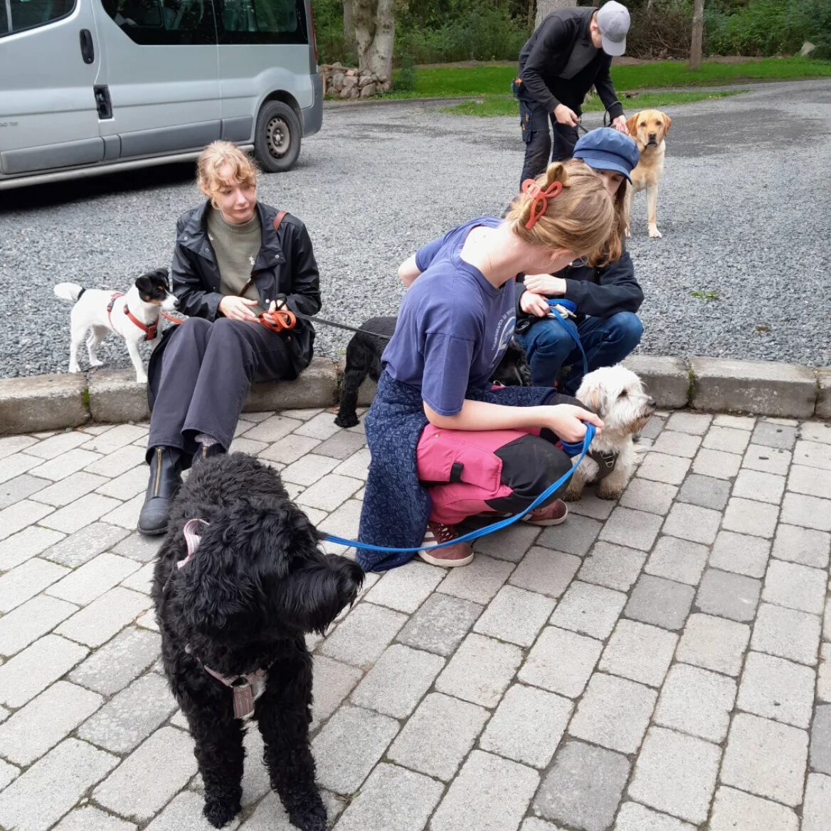 767362FE-709B-4EBC-9E77-FC23A8CE8183