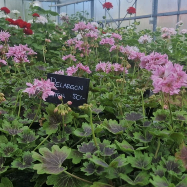 Captura de pantalla 2026-02-14 a las 11.41.12