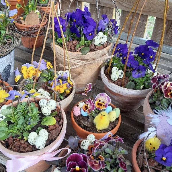 Captura de pantalla 2026-02-14 a las 11.42.42