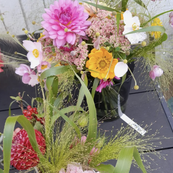 Captura de pantalla 2026-02-14 a las 11.43.03