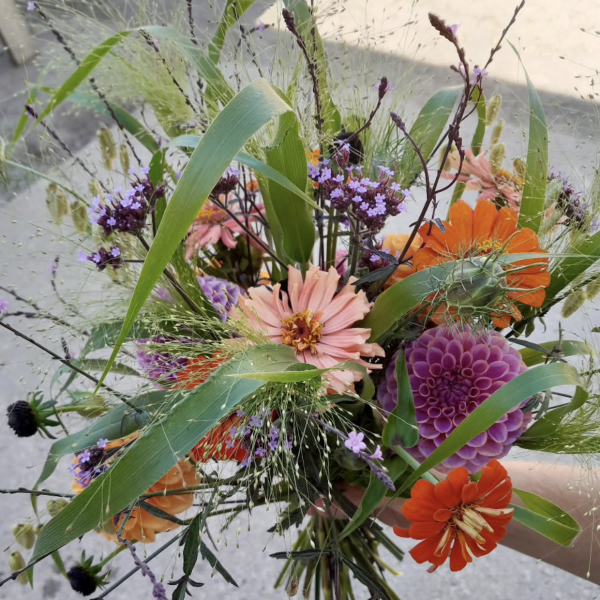 Captura de pantalla 2026-02-14 a las 11.44.00