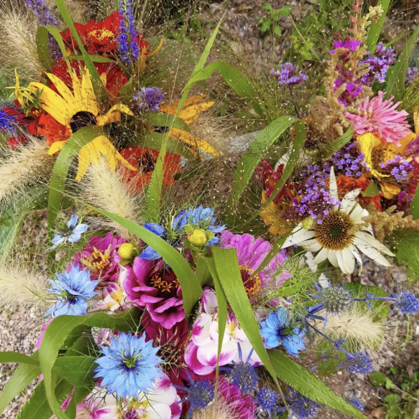 Captura de pantalla 2026-02-14 a las 11.44.09